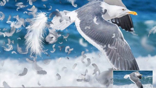 Photoshop Actions: [91% OFF] Dispersion Actions Bundle смотреть онлайн