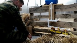 Дом в деревне. Делаем кормушку для гусят.