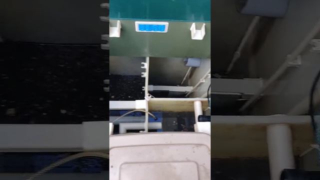Обслуживание септика тополь 7
