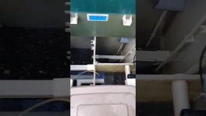 Обслуживание септика тополь 7