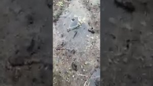 Магдагачи . 15 июня 2021г. Амурская область. Побило огород. затопило улицы .