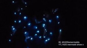 🔥H2o просто добавь воды "Эдит"