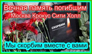 Вечная память погибшим теракта в Москве. Крокус Сити Холл. Мы скорбим вместе с вами.