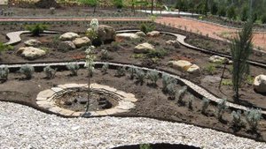 Альпийская горка. Альпинарий. Рокарий с. Орлиное 2010 год