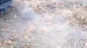 Белый дым на морозе дизель