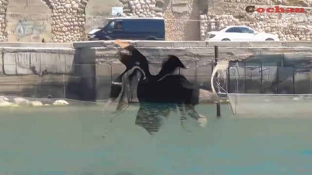 Балаклава, бухта города. Морская прогулка. смотреть онлайн