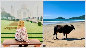 Да, нас ждёт Индия! Как выгоднее путешествовать: по путевке или самостоятельно?Приехали в наш домик.