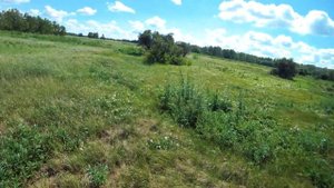 Сколько пропустит сигналов? MD 4090 против X-TERRA 705 (МТ 705).  МЕТАЛЛОИСКАТЕЛЬ С АЛИЭКСПРЕСС!