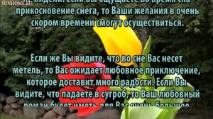 К чему снится Метель (вьюга) сонник, толкование сна