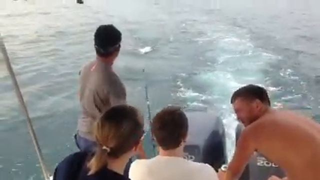 Вот это рыбалка!!! Дубай апрель 2013г смотреть онлайн