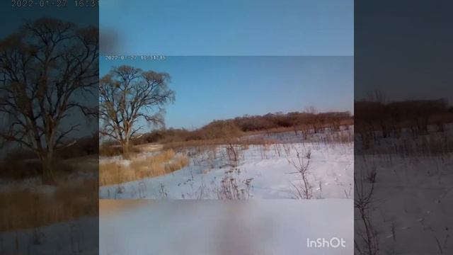 по полям по лесам смотреть онлайн