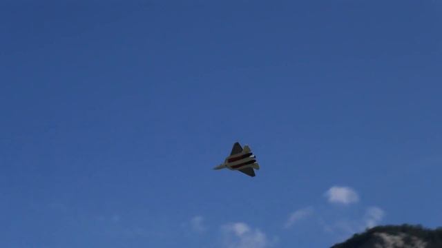 Suchoi Su-57 Сухой Су-57 RC TURBINE JET MODEL