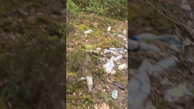 Зачем Госдеп США мусорит в российском лесу? смотреть онлайн