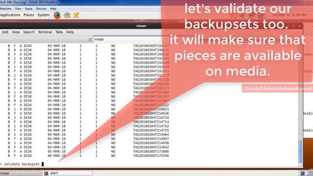 Simplified DBA-022-07-RMAN Validate Database смотреть онлайн