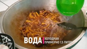 ПЛОВ В ЧАЙХАНЕ / ЧАЙХАНА / НАСТОЯЩИЙ ПЛОВ / PILOV / PALOV / ОШ / КЫРГЫЗСТАН