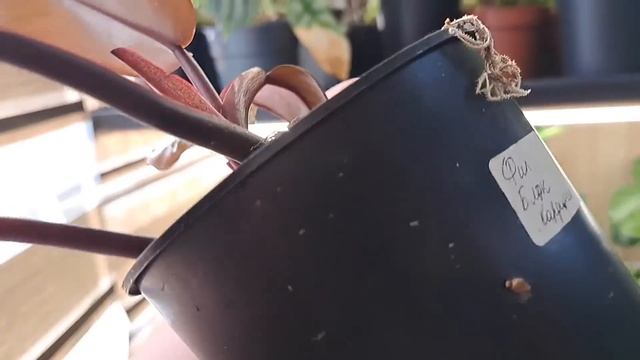 Доделала балкон, капилярные маты смотреть онлайн