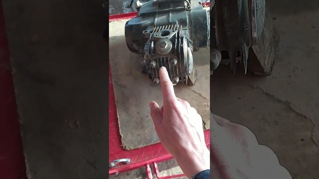 Двигатель питбайка 125сс смотреть онлайн