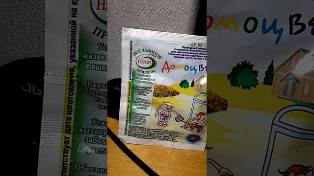 ДОМОЦВЕТ смотреть онлайн