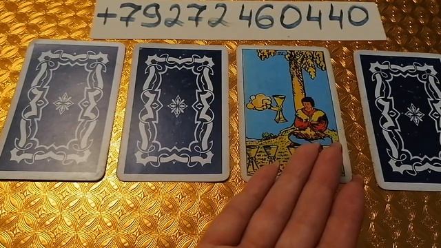 Да или нет на любой вопрос? ГОВОРИЛКА смотреть онлайн