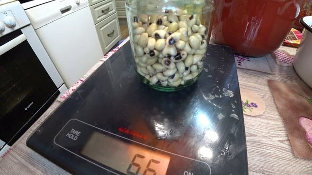 Фасоль в томатном соусе. Вычисляем правильную пропорцию. смотреть онлайн