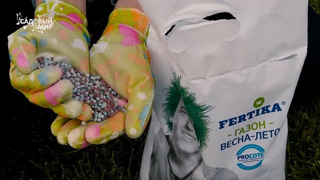 Лечим лысины на газоне. Что делать, если на садовом  газоне появились проплешины