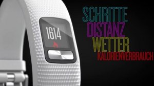 Die 5 Besten Fitness Tracker unter 100 Euro - Welcher ist der Beste Budget Fitness Tracker?