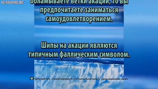 К чему снится Акация (белая, дерево) сонник, толкование сна смотреть онлайн