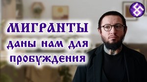 Мигранты даны нам для пробуждения