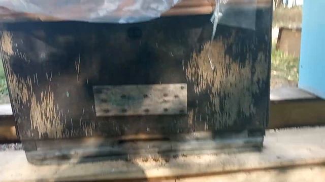 Дачная пасека #36 Обзор дачной пасеки и что делать с рамками с пергой смотреть онлайн