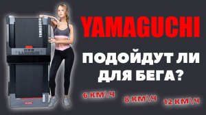 Беговая дорожка YAMAGUCHI. Подойдет ли дорожка ЯМАГУЧИ для бега