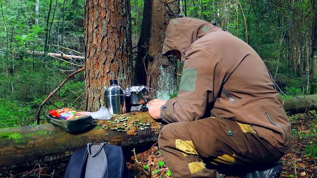 Поход в лес,осенний ПВД,поход налегке.