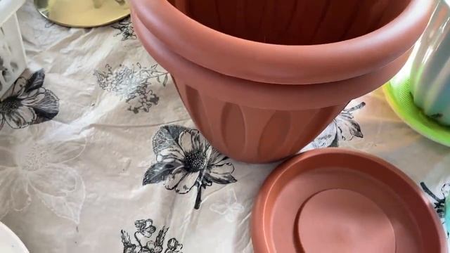 ✔️Чудесный яблоневый ВЕНОЧЕК ДЕЛАЕТСЯ САМ декор интерьер САЖАЮ ГЛАДИОЛУСЫ в кашпо смотреть онлайн