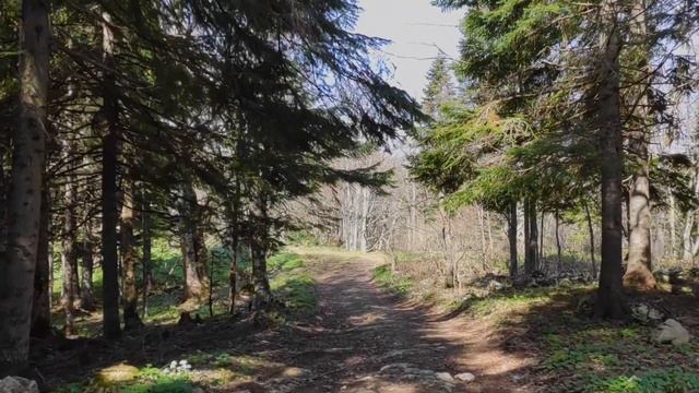 Прогулки по смотровым площадкам Лаго-Наки смотреть онлайн