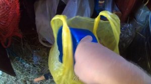 Зерно смесь для кроликов