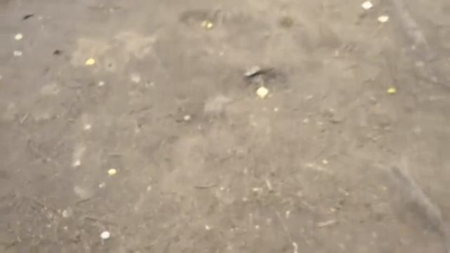 о, прикольные колготки