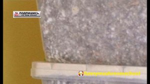 Вешенка  Стерилизация зерна для мицелия в автоклаве