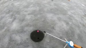 Ловля Огромных карасей. Два карася и уже Перелов.