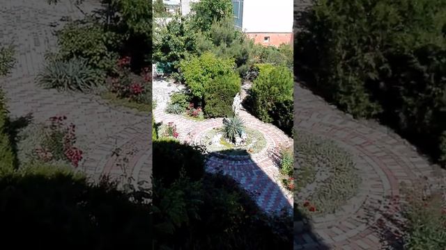 Отдых в Крыму 2019 гостиницы на берегу моря в Новом Свете