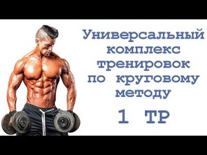 Универсальный комплекс тренировок по круговому методу (1 тр)