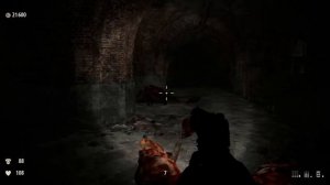 Serious Sam 3: BFE (Все секреты) - Часть 2 [В паутину]