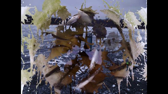 Зимняя рыбалка в далёком 2014 году. (фотоархив) смотреть онлайн