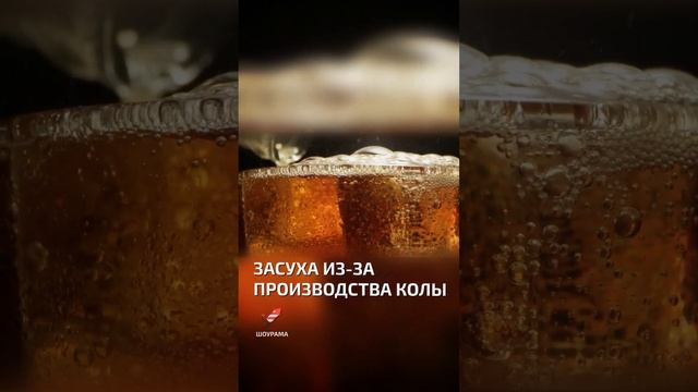 Засуха из-за производства колы  - интересные факты о кока-коле