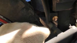 на Алфу поставил звезду на 17  на Alpha offroad