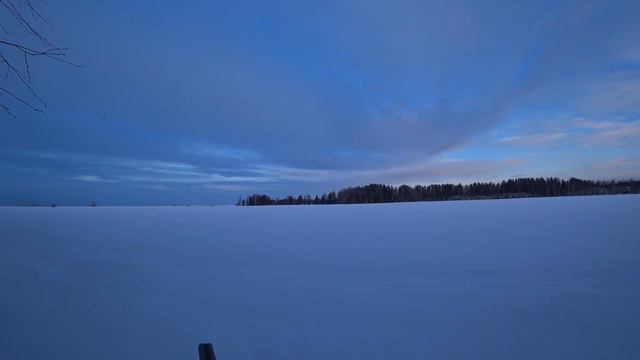 Охота на зайца с собаками. Зачем так делать???? Где охотничья этика????