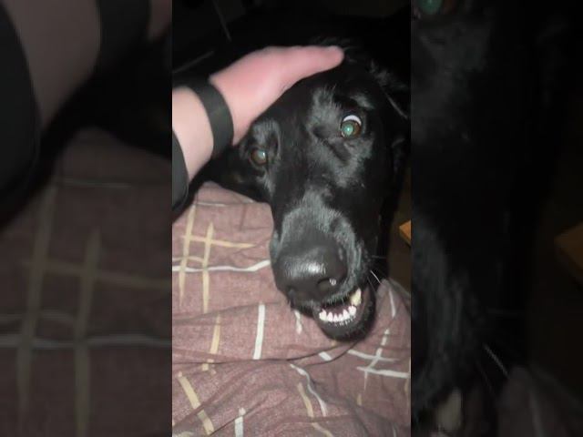 IMG 0090 смотреть онлайн