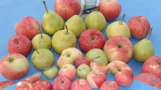 дары дачи смотреть онлайн