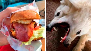 60 фото, на которые придется взглянуть дважды