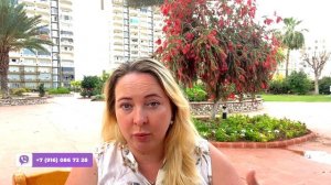 Бизнес в Мерсине. Чем заняться в Мерсине? Работа в Мерсине.