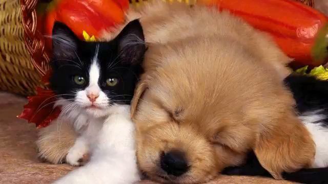 Музыка новинки . Сказочная новинка.! Душа полетела! смотреть онлайн