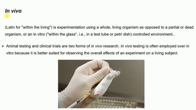 In silico vs In Vitro vs Ex Vivo vs In Vivo experiments смотреть онлайн